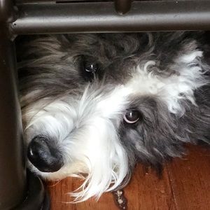 Meet your Posher, Mary ann